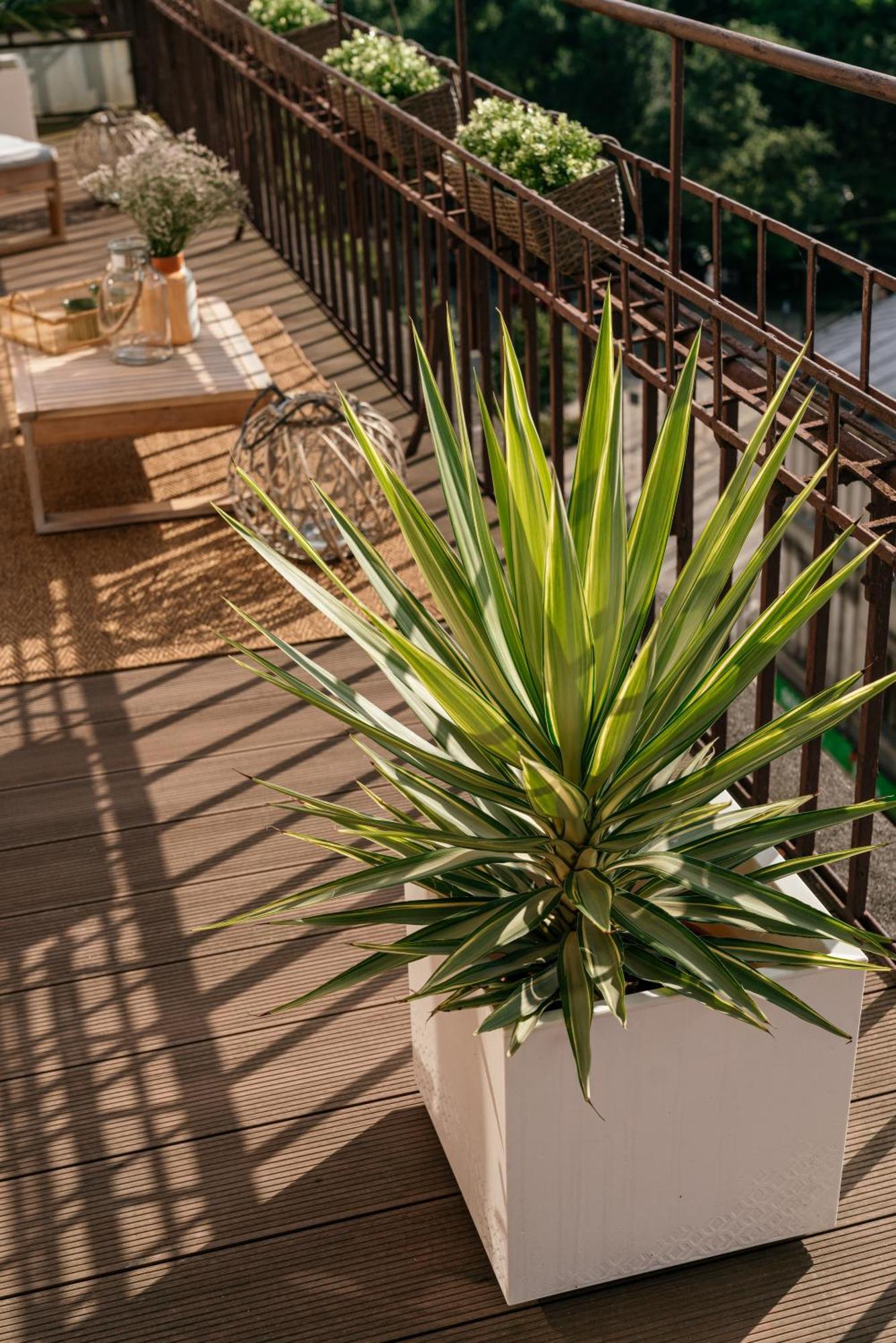 Penthouse Panorama - Loftaffair Apartment Krakow Ngoại thất bức ảnh